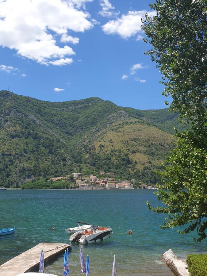 Savic Apartments Kotor Exteriör bild