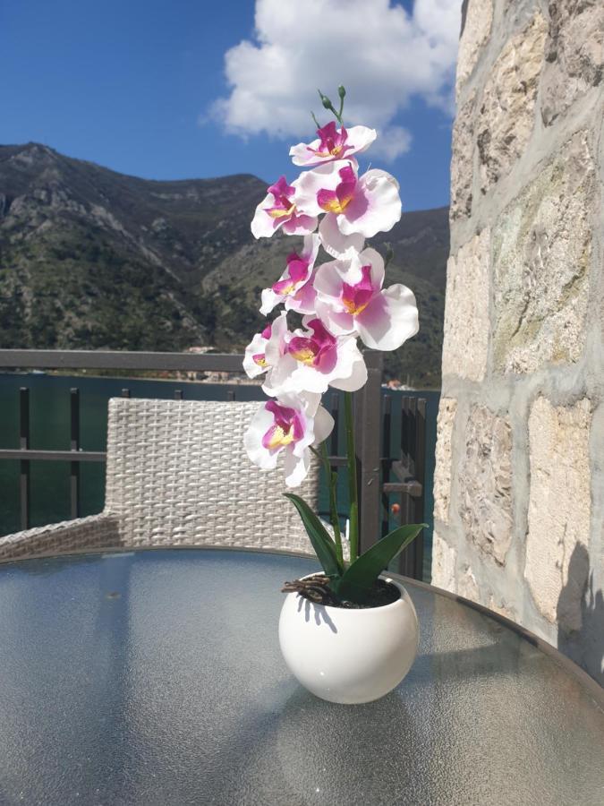 Savic Apartments Kotor Exteriör bild