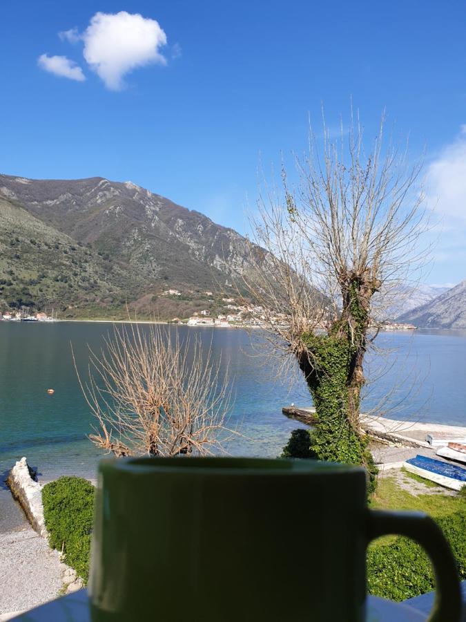 Savic Apartments Kotor Exteriör bild