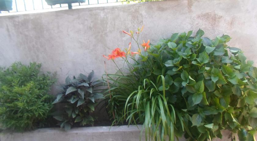 Savic Apartments Kotor Rum bild